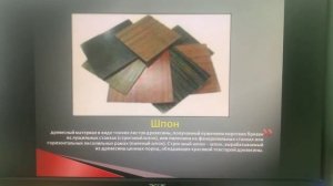 Основы социальной жизни.Тема урока:«Уход за мебелью в зависимости от её покрытия».