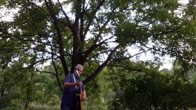 yee haw epiphone pr5e amp is in the tree смотреть онлайн
