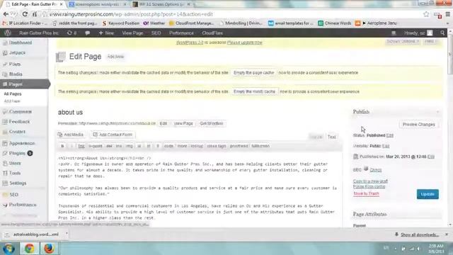 Can't Control Custom Fields on Wordpress Edits смотреть онлайн