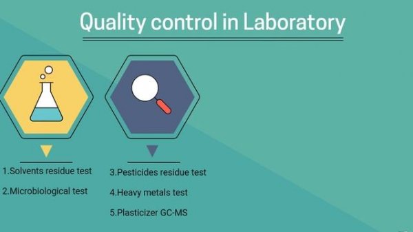 Bilberry fruit dry extracts, Vaccinium Myrtillus, benefits,production