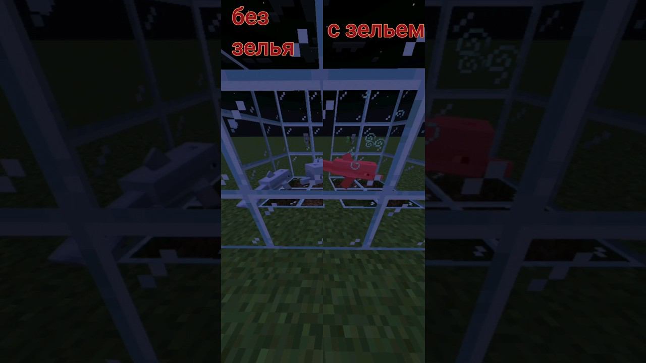 #minecraft рыбы не умирают на суше под зелье подводного дыхания? #миф #shorts смотреть онлайн
