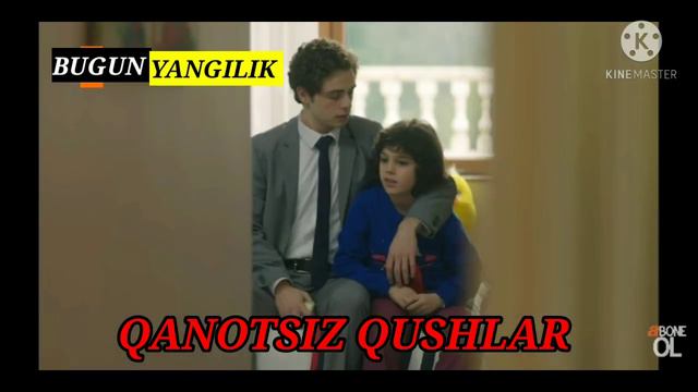 QANOTSIZ QUSHLAR 173 QISM TURK SERIALI UZBEK TILIDA|КАНОТСИЗ КУШЛАР 173 КИСМ УЗБЕК ТИЛИДА смотреть онлайн