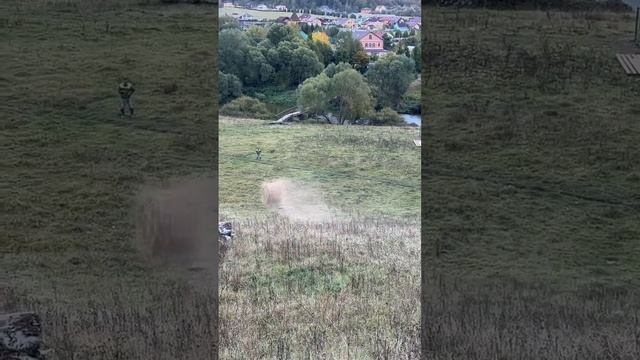 Перекати поле. Доставка сена) смотреть онлайн