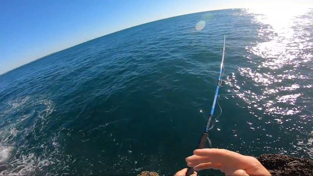 CORAL TROUT Catch and Cook смотреть онлайн