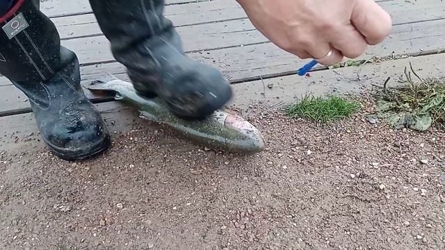 РК "МАРЛИН" смотреть онлайн