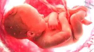 ️ 3 ЧАСА ️ БЕЛЫЙ ШУМ Для Сна Младенцев Звуки в Утробе Матери Для Успокоения и Сна Малыша