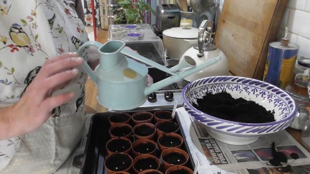 Vivi's Kitchen Garden 250: Sowing peppers plus Pelargonium cuttings. смотреть онлайн