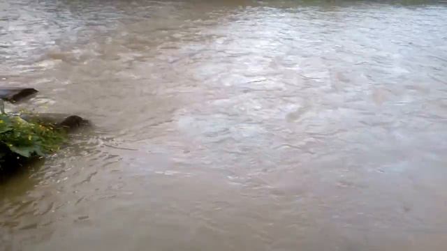 Карпаты. Время бросать камни