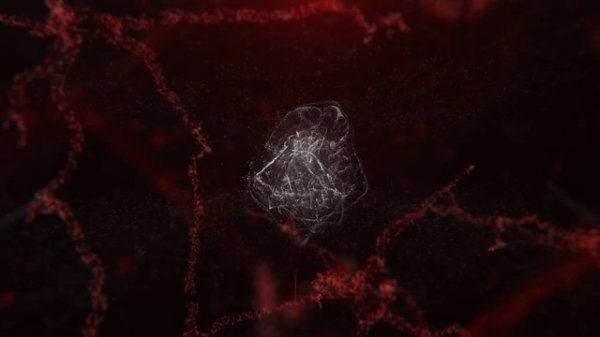 Обзор «Красная таблетка»