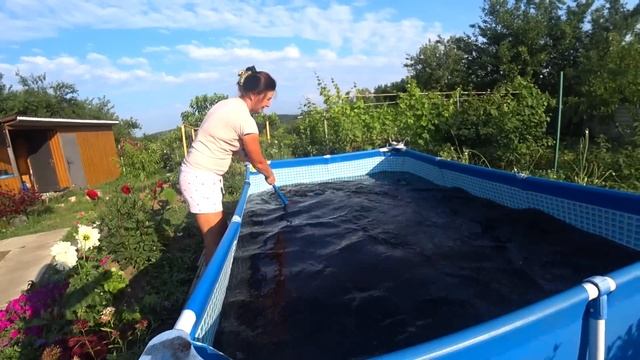 Кормим томаты и не только. О цветах. Краснодарский край смотреть онлайн