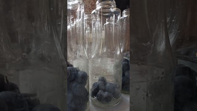 Готовим вкусно