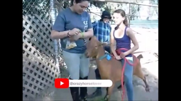 Fun with Goat