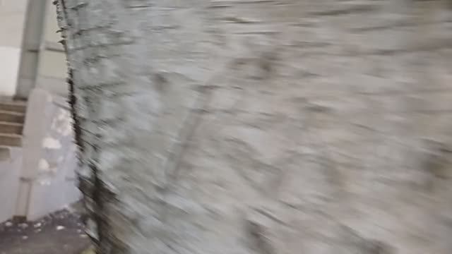 4 берёзки ПВГ