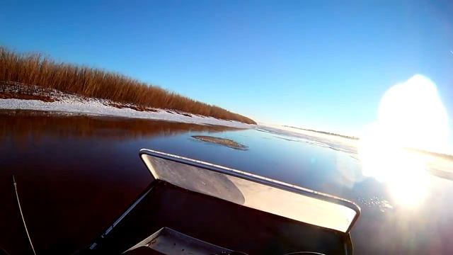 Поездка на шарью 3 июня 2017 смотреть онлайн