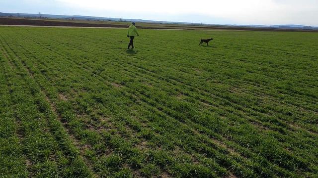 13.02.2021, CACT - Ямбол, България ... смотреть онлайн