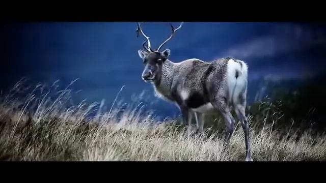 Astra GTC Drive at WJ King Group смотреть онлайн