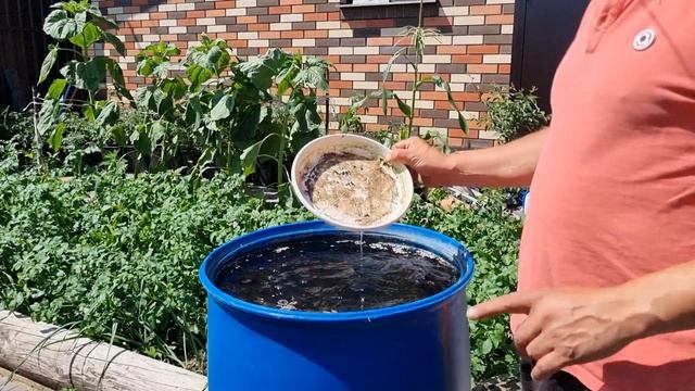 арбуз более 10 килограмм, хочу вырастить, подвес арбуза при вертикальном выращивании смотреть онлайн