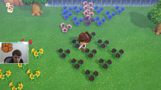 How to Grow Purple Roses | Purple Roses ACNH | Animal Crossing New Horizons Purple Roses | ACNH Ros смотреть онлайн