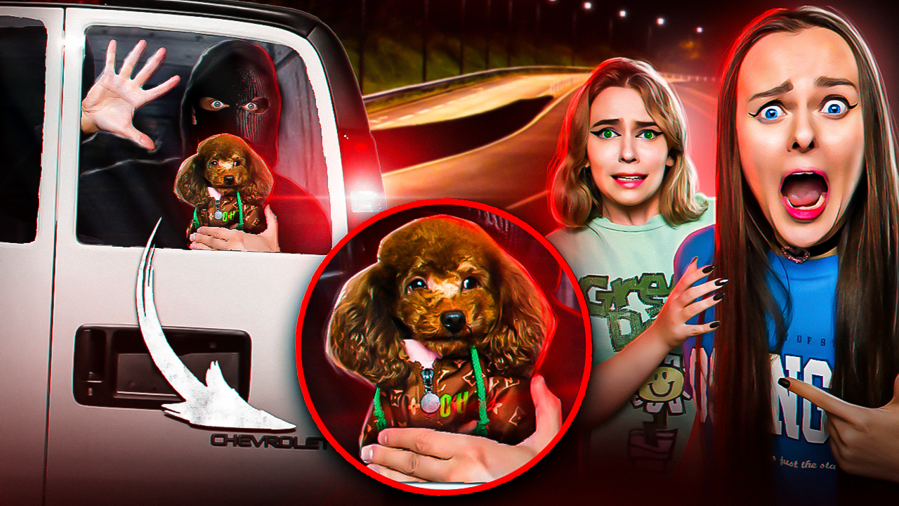 ПОМОГИТЕ у меня УКРАЛИ СОБАКУ ! смотреть онлайн