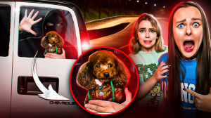 ПОМОГИТЕ у меня УКРАЛИ СОБАКУ !