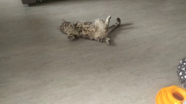 3 часть после посадки растений смотреть онлайн