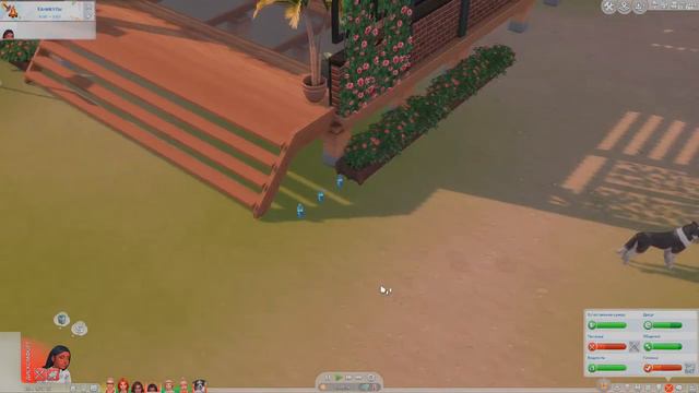 #12 SimS4 ГРЕЕМ КОСТОЧКИ НА СУЛАНИ смотреть онлайн