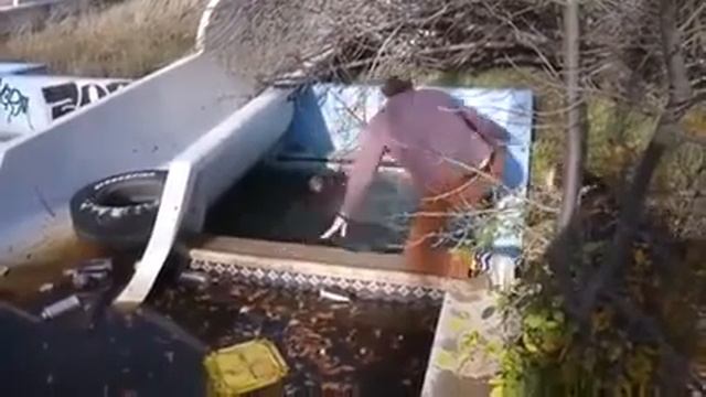 Две большие бездомные собаки попросили людей помочь своему другу смотреть онлайн