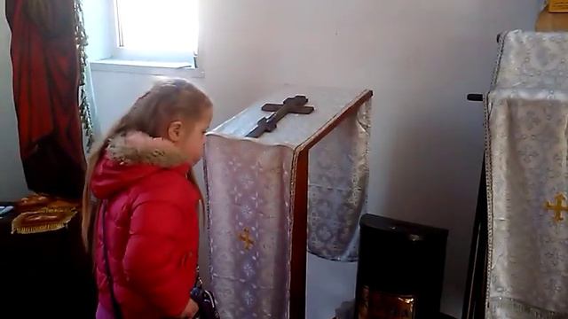 хр. Владимирской иконы Богородицы (Виноградарь) 17.02.2019 смотреть онлайн