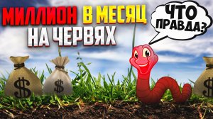 Бизнес на разведении червей. Можно ли заработать миллион в месяц на червях?