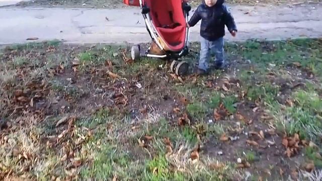 Собираем каштаны для поделок - весёлая игра для развития мелкой моторики.