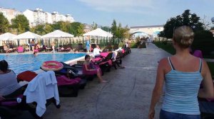 Фиолето обзор 1 !!!