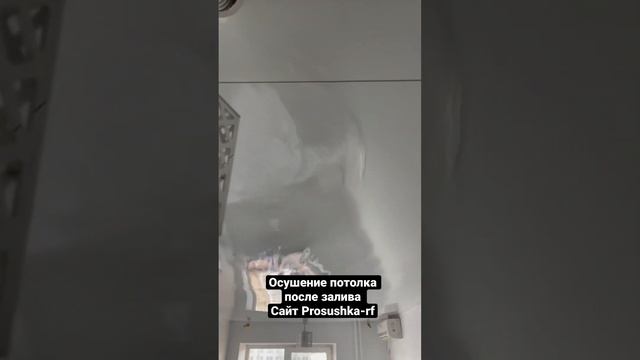 Просто слить воду с нятяжного потолка мало! Необходимо просушить все потолочное пространство!!! смотреть онлайн