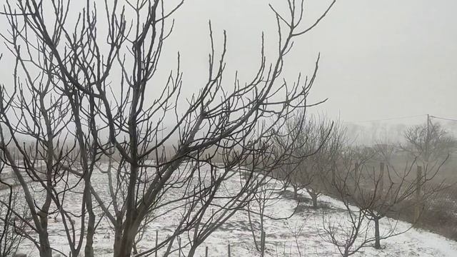 Выпал первый снег, пришла зима 7 февраля 2023 на улице -4. Темрюкский район Краснодарский край смотреть онлайн