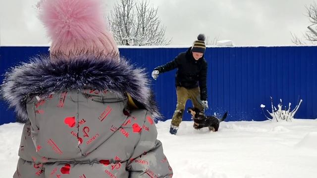 68?Зимняя сказка/Новый год на ?/Переезд на юг смотреть онлайн