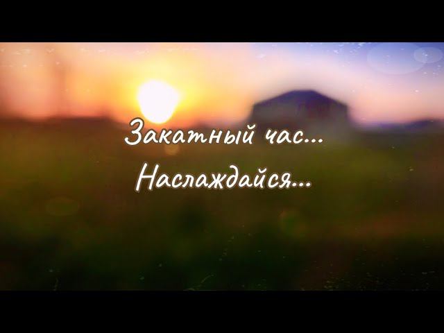 На лоне природы // Закатный час // IPhone 15 смотреть онлайн