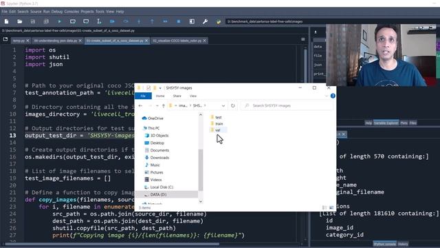 Extracting a Targeted Subset from a COCO JSON annotated dataset смотреть онлайн