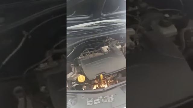 Numero chassis e motor Renault Logan 1.0 2012 смотреть онлайн