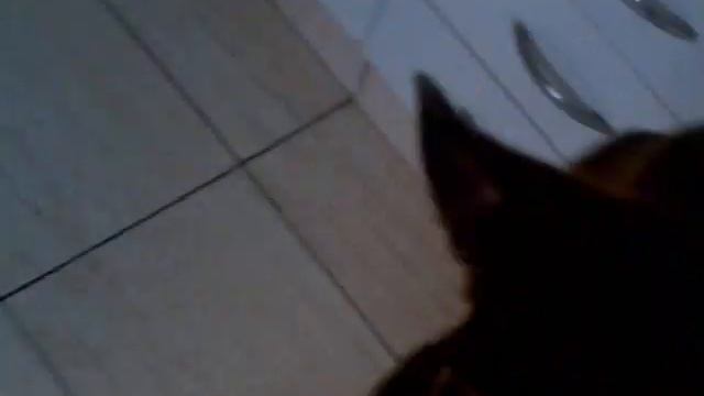 APOLO PORTA.3gp смотреть онлайн