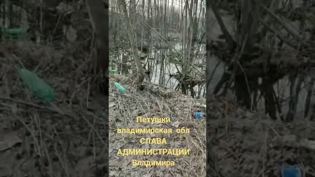 Петушинский район город Петушки Владимирская область смотреть онлайн