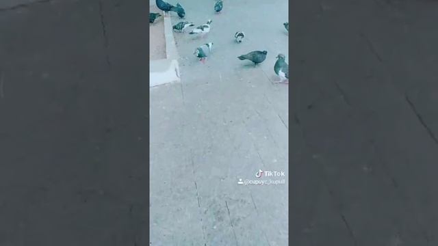 ЖД Вокзал Донецк смотреть онлайн