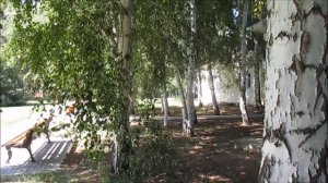 база отдыха осинки 2017 волгоград турбаза с бассейном отдых в Волгограде