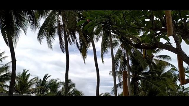 Backsound Cinematik Video || The Acacia Anyer Hotel смотреть онлайн