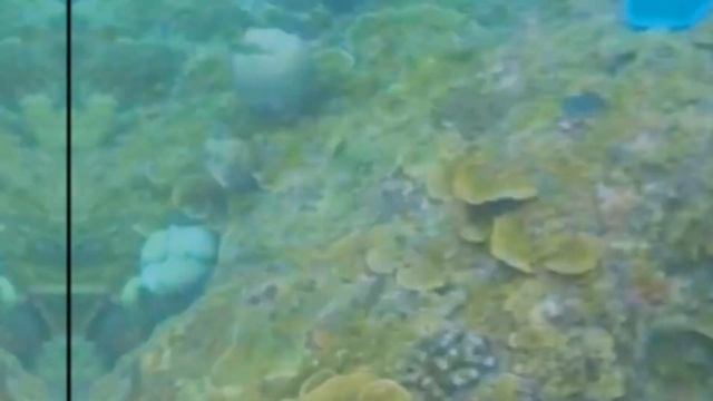 Пхукет Таиланд Андаманское море Индийского океана 2023 смотреть онлайн