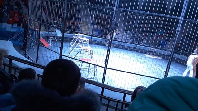 Цирк -Новая программа Ю.Никулина на Цветном бульваре,апрель2017г.Симферополь HD смотреть онлайн