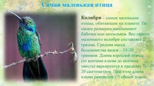 1 Апреля   "Международный день птиц"