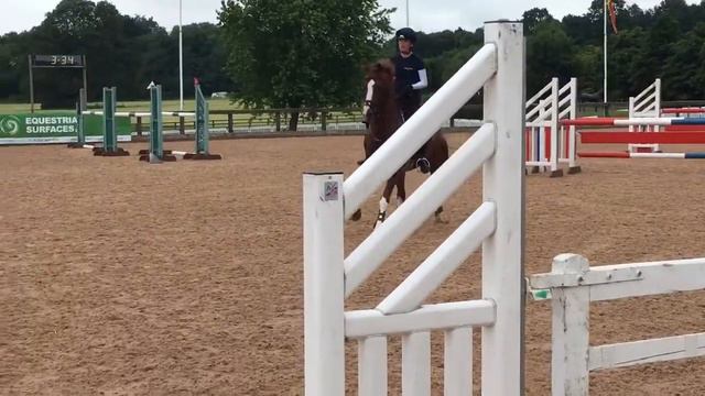 SF DETROIT - PONY TRAINING - SHOWJUMPING смотреть онлайн