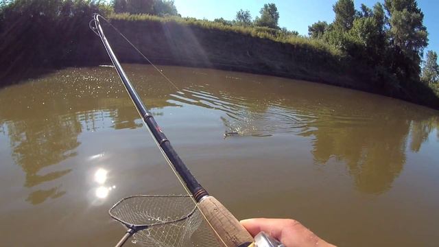 Харабалык! День четвёртый !!! смотреть онлайн