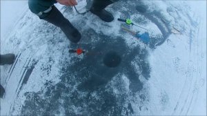 озеро ЧУДСКОЕ .д .ВЕТВЕНИК  .зимняя рыбалка .часть-1