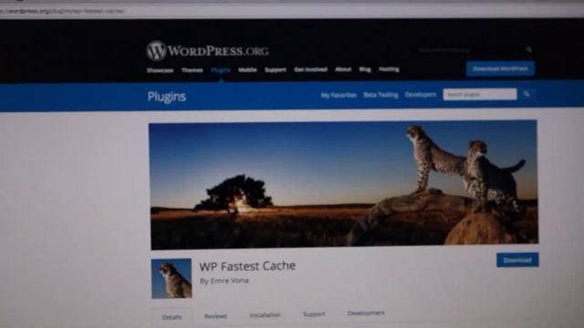 How Caching Can Break Your Web Forms смотреть онлайн
