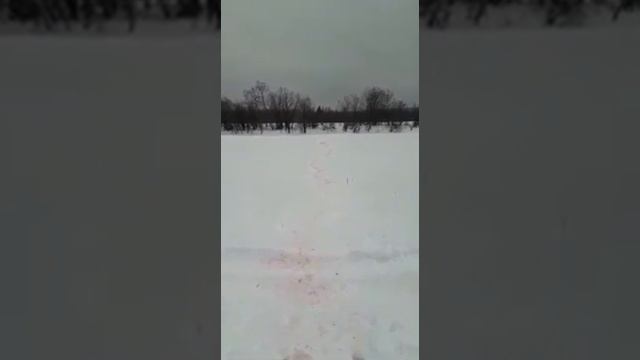 Нашествие волков смотреть онлайн